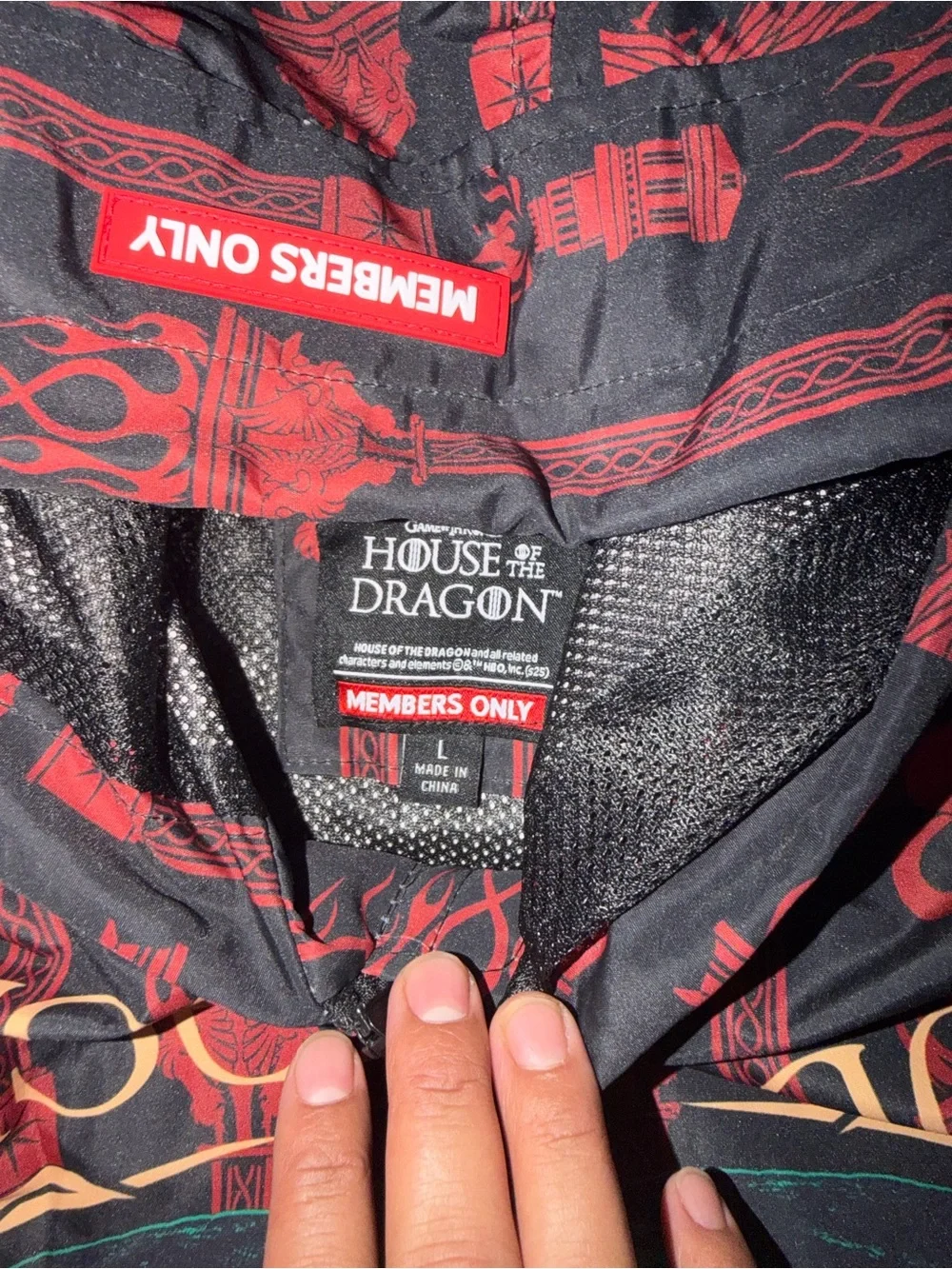 House of the Dragon Graphic Hoodie - Multi-Color Dragon Design